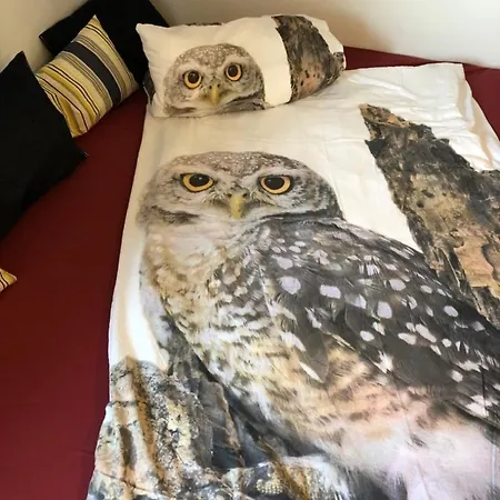 Eulennestle Apartmán Lenzkirch